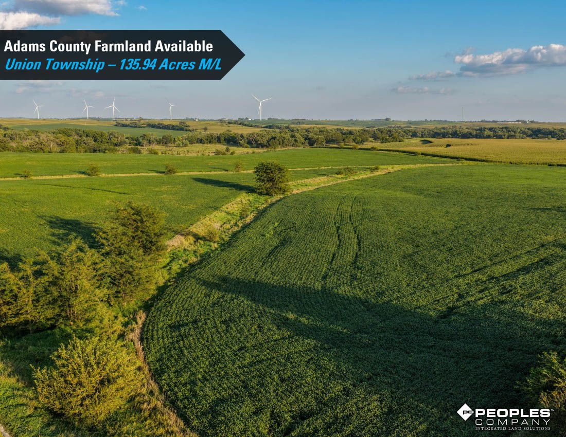 Listing Photo: Adams-County-Iowa-Farmland-Available-136-Acres-Blazek-Estate-19707 (7)